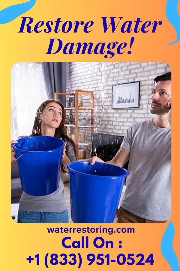 water restoration Southern Emergency Restoration Inc Glen Ellyn