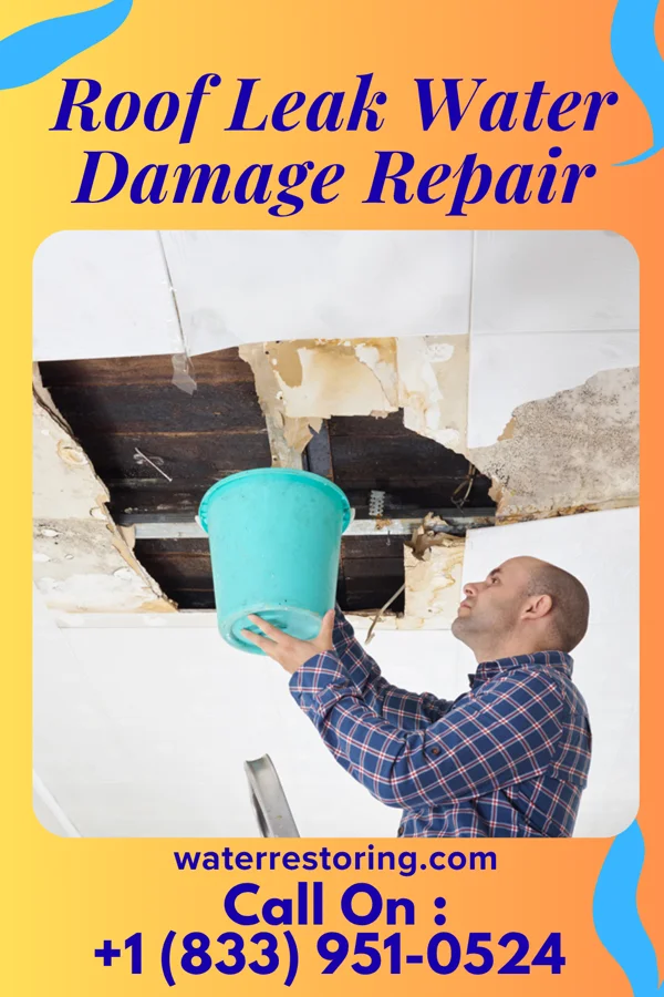Roof Leak Water Damage Repair in Glen Ellyn, IL