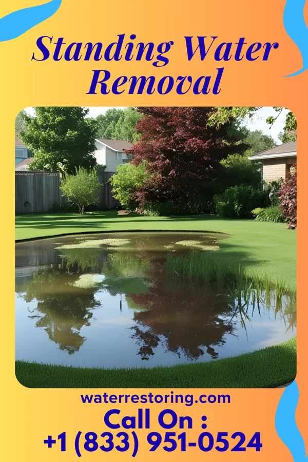 Standing Water Removal in Glen Ellyn, IL